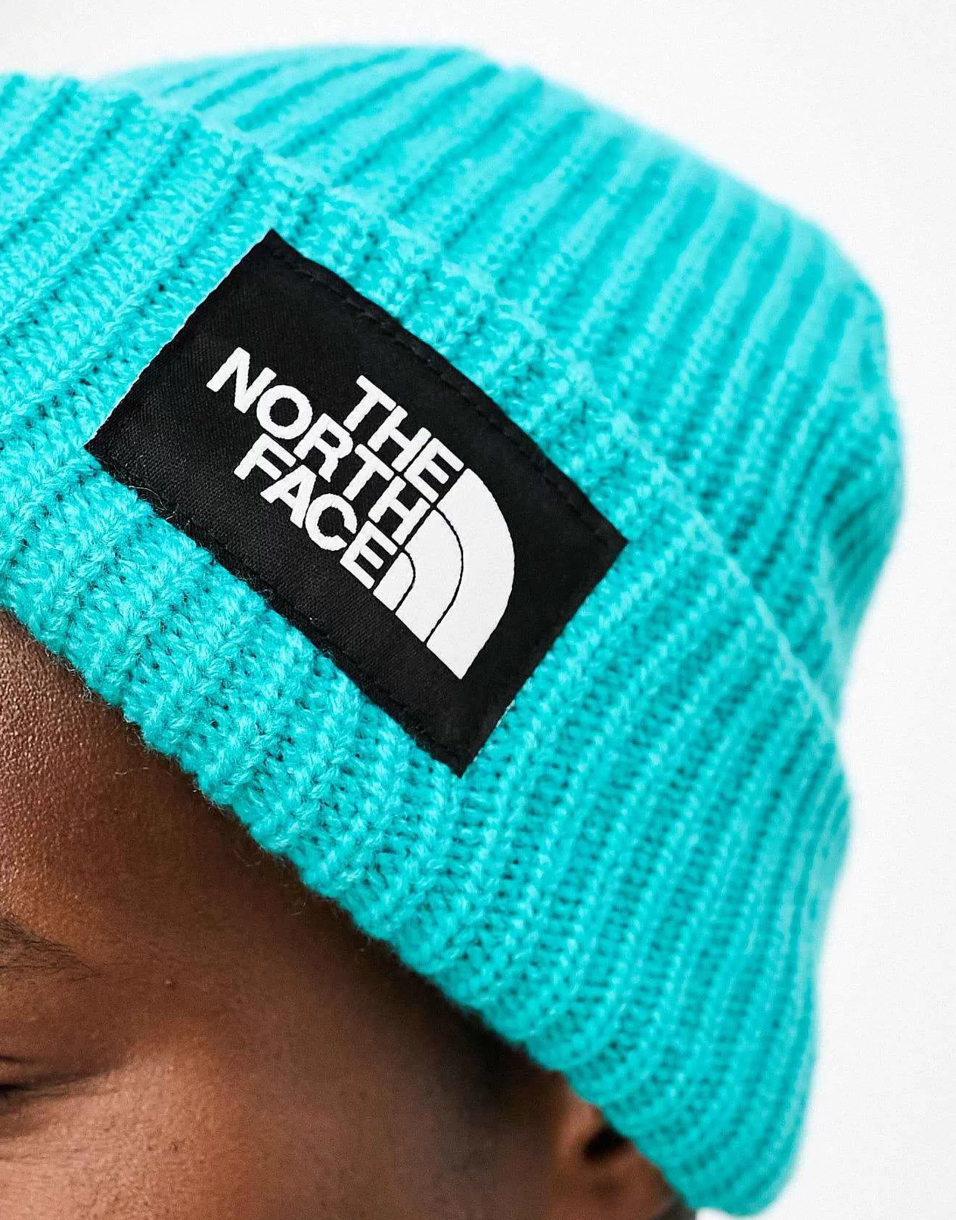 Men The North Face Salty Dog Ribbed Beanie In