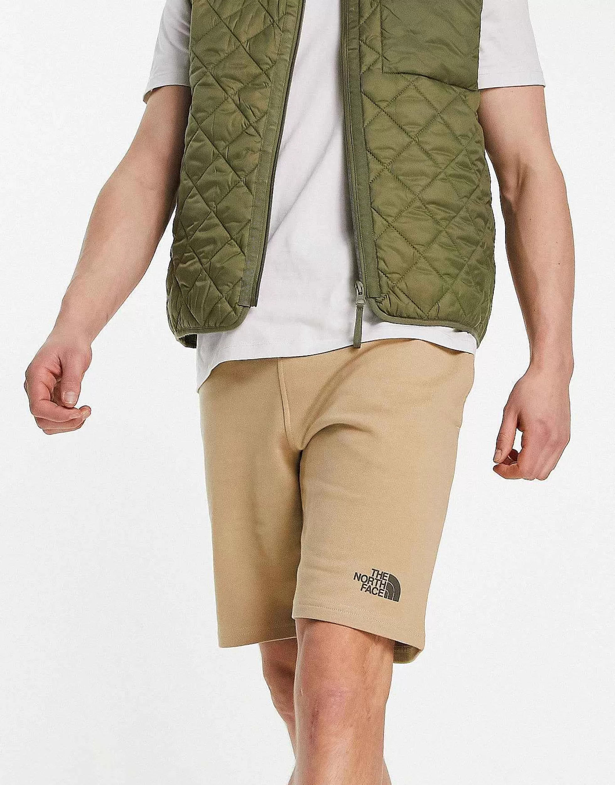 Men The North Face Standard Lightweight Fleece Shorts In Stone