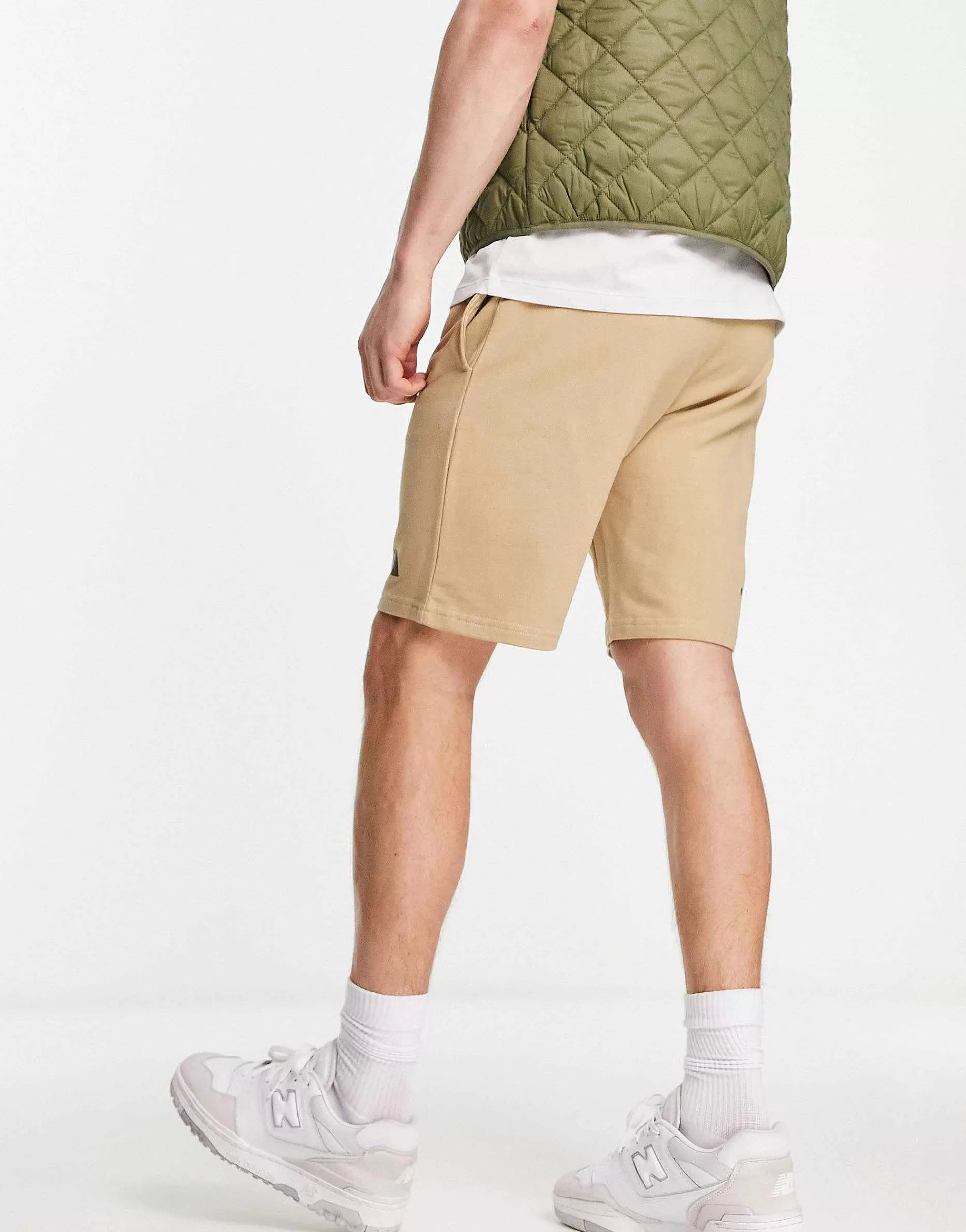 Men The North Face Standard Lightweight Fleece Shorts In Stone