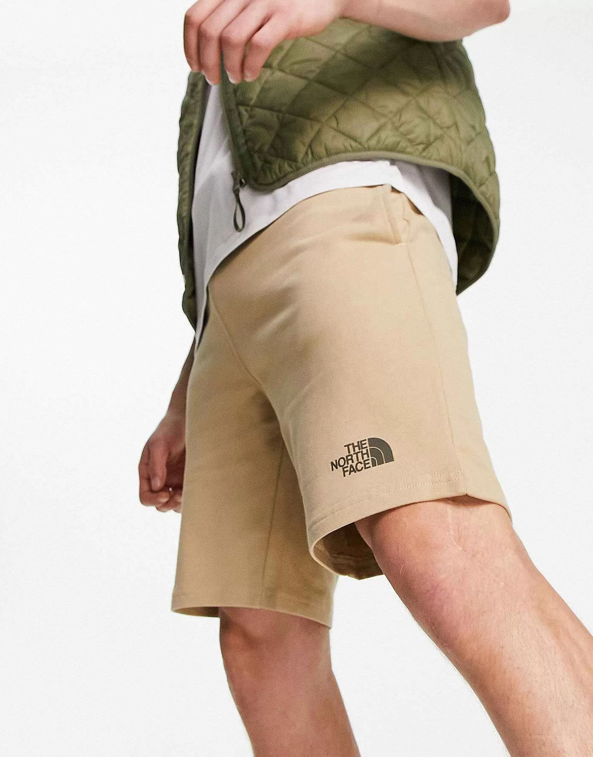 Men The North Face Standard Lightweight Fleece Shorts In Stone