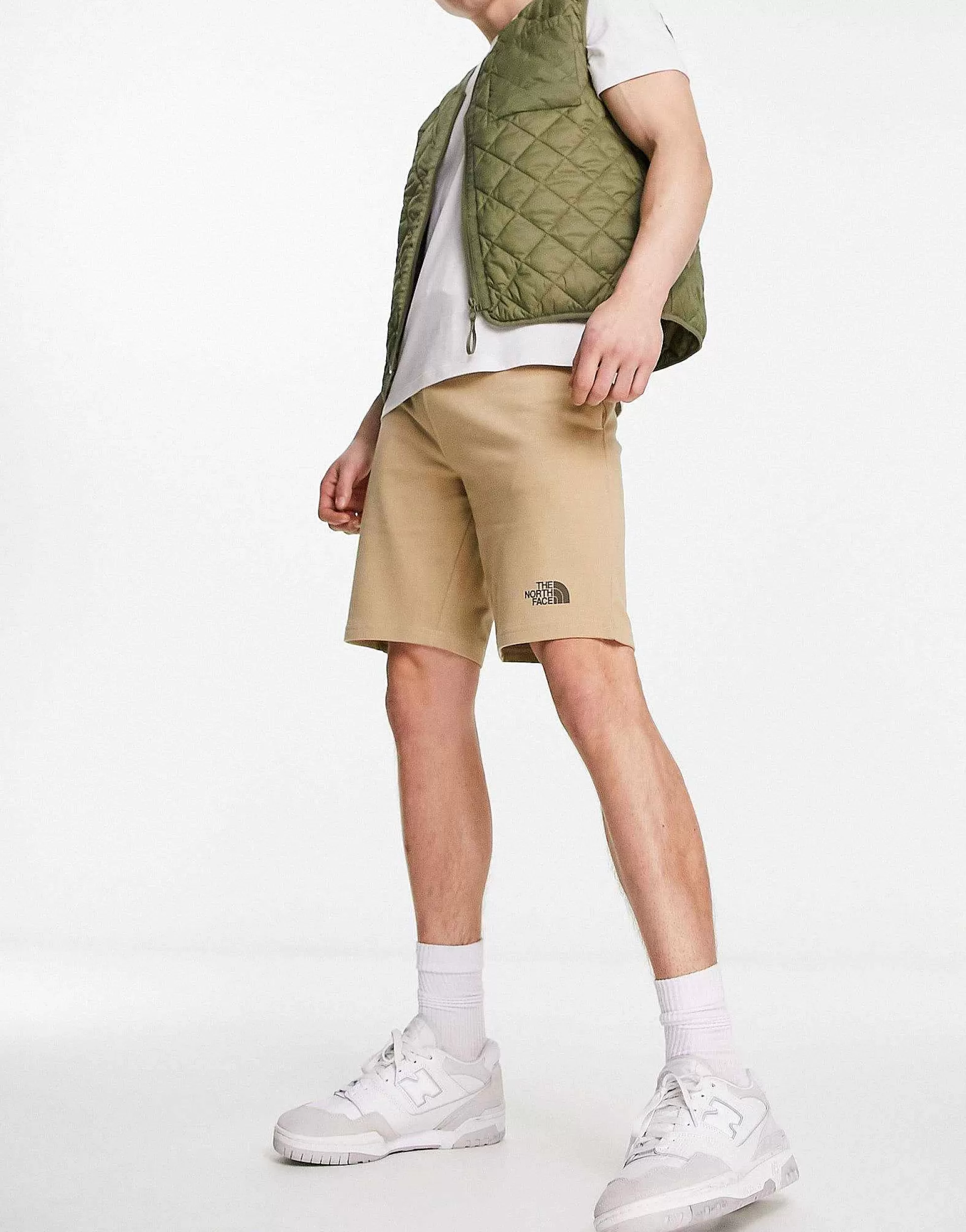 Men The North Face Standard Lightweight Fleece Shorts In Stone